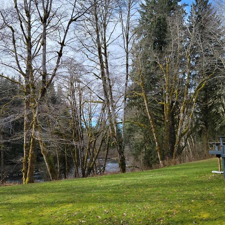 A Relaxing Getaway-A Backwoods Cabin Solduc River Beaver Dış mekan fotoğraf