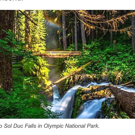 A Relaxing Getaway-A Backwoods Cabin Solduc River Beaver Dış mekan fotoğraf