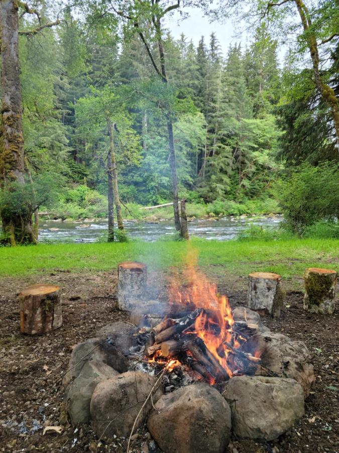 A Relaxing Getaway-A Backwoods Cabin Solduc River Beaver Dış mekan fotoğraf