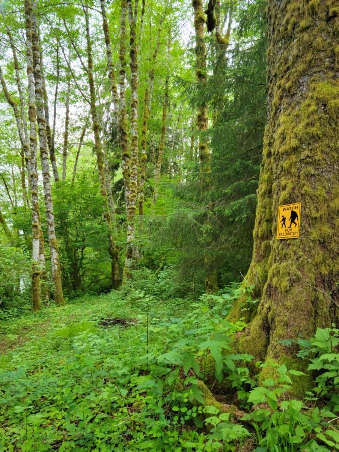 A Relaxing Getaway-A Backwoods Cabin Solduc River Beaver Dış mekan fotoğraf